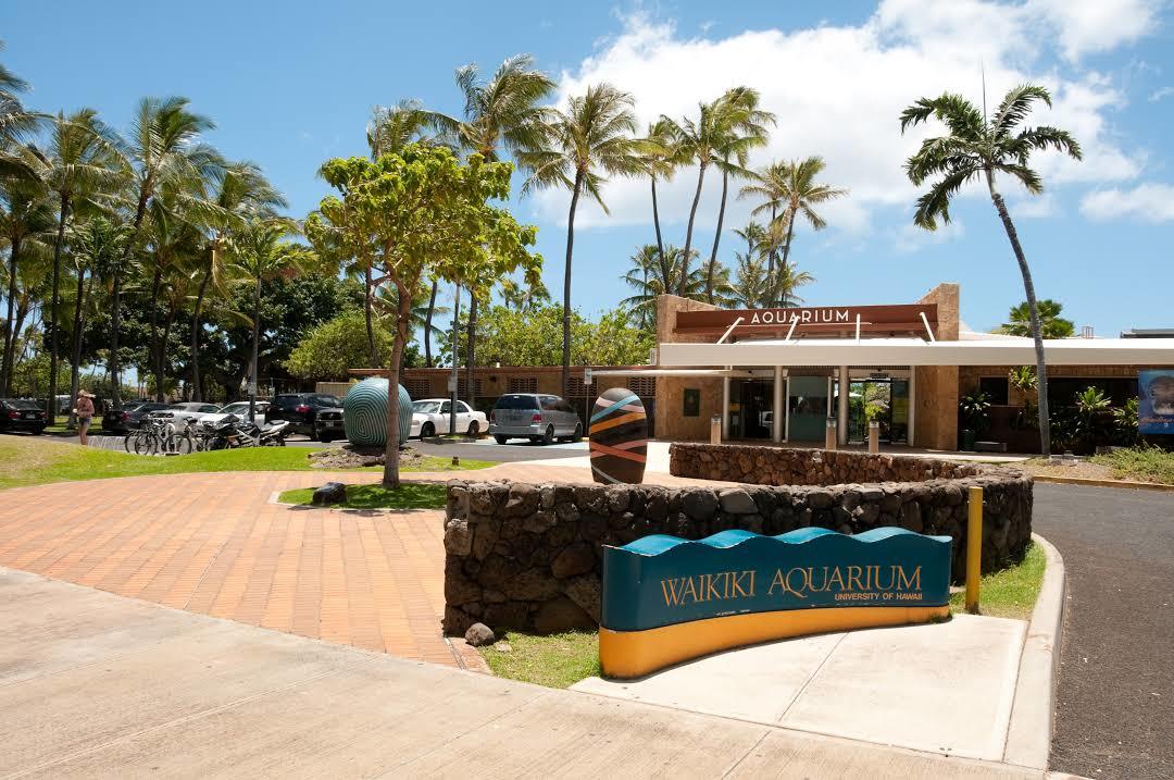Waikīkī Aquarium