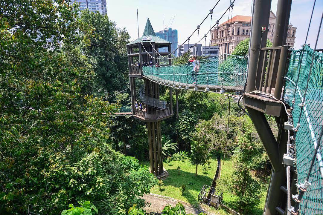 Bukit Nanas Skovreservat