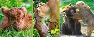 Heimat-Tierpark Olderdissen