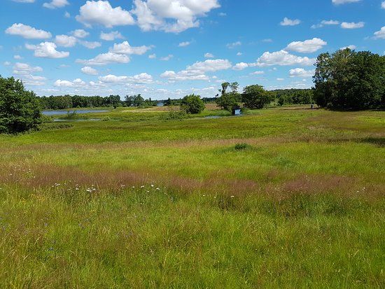 Hörlinge ängar utemuseum