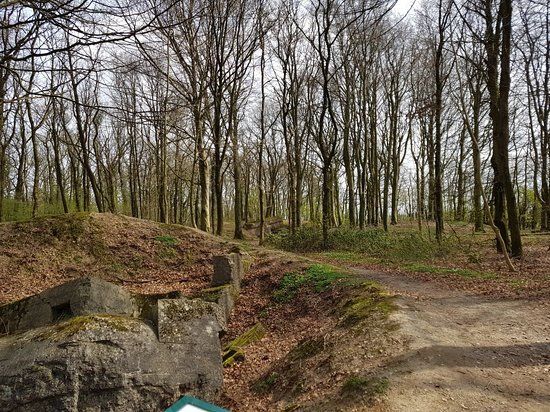 Sikringsstilling Nord