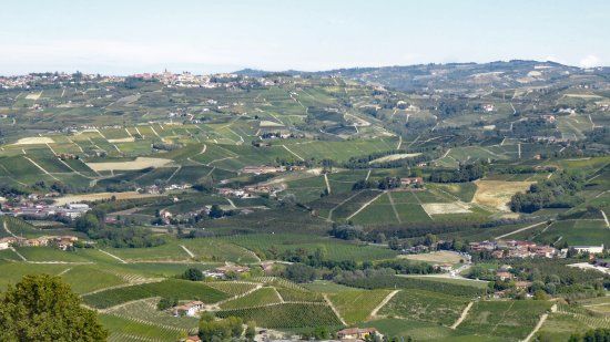 Langhe landscapes UNESCO