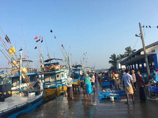 Hikkaduwa Harbour