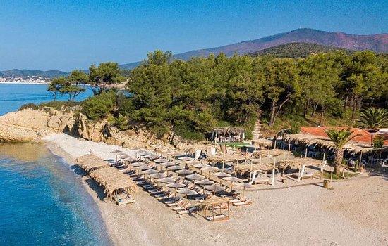 Oasis Beach Bar and Gastro Entertainment