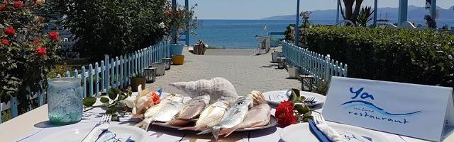 Ya Seafood restaurant