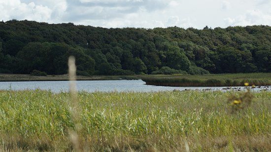 Ruten om Skælskør Nor