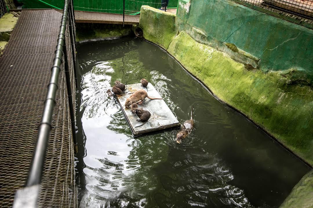 Zagreb Zoologiske Have