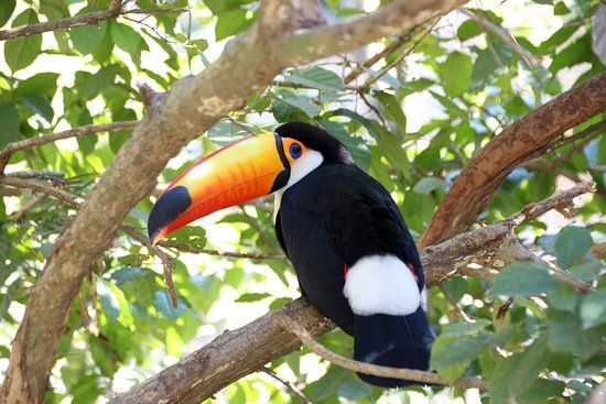 Santa Cruz Zoologiske Have