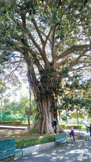 Giardino Inglese Park