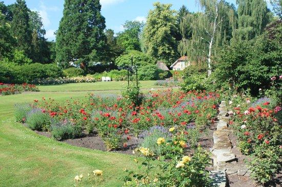 Oldenburger Schlossgarten