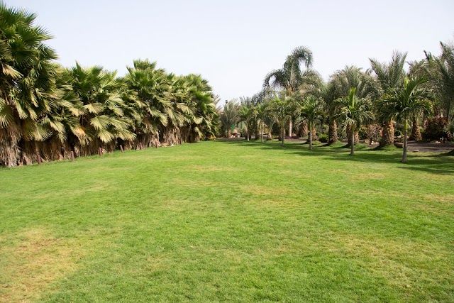 Viveiro Botanisk Have og Zoo