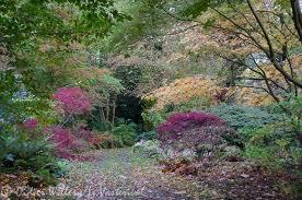LE JARDIN DU Vasterival