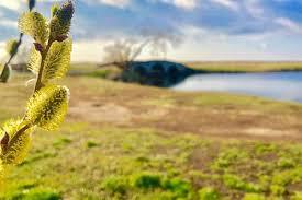 Flommens naturreservat