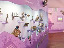 Naturkundemuseum Niebull