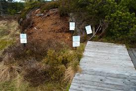 Bozidarske raseliniste