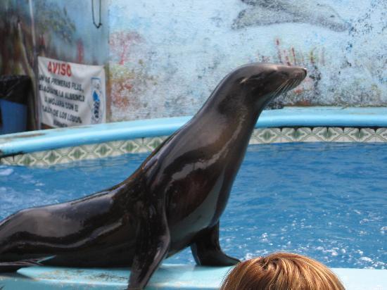 Mazatlán Akvarium