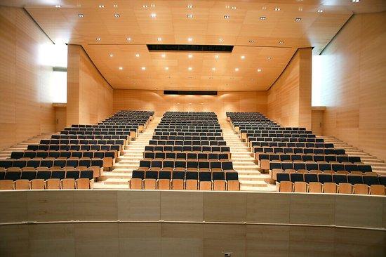 Teatro auditório municipal