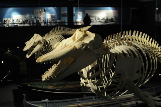 Færøernes Nationalmuseum