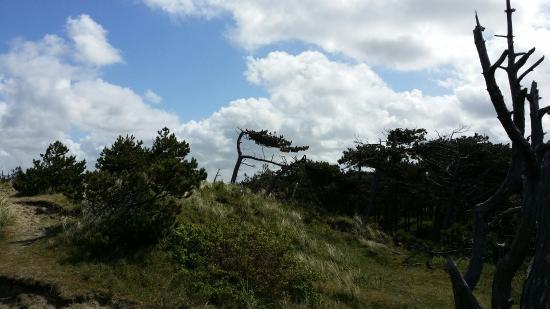 Duinen van Texel Nationalpark