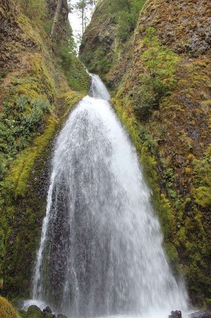Mt. Hood National Forest