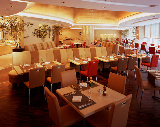 Coffee Shop Dining Cafe Camellia