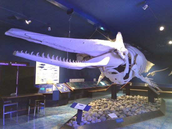 Omans Naturhistoriske Museum