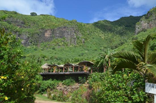 Moorea Tropiske Have