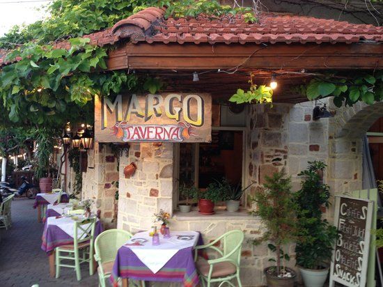 Margo Taverna