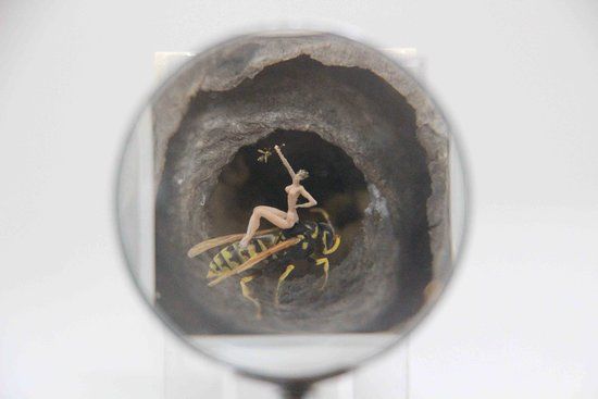 Museo de Microminiaturas