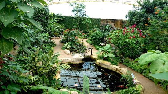 Benalmádenas sommerfuglepark