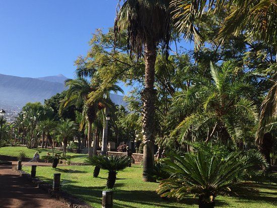 Risco Belle Aquatic Gardens