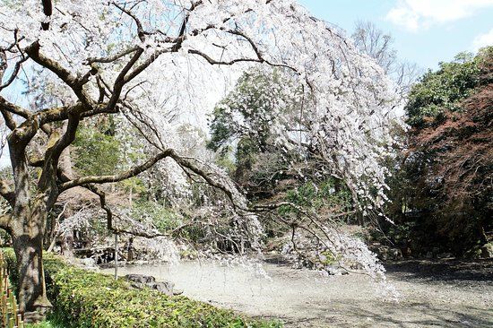 Kejserpaladset i Kyoto