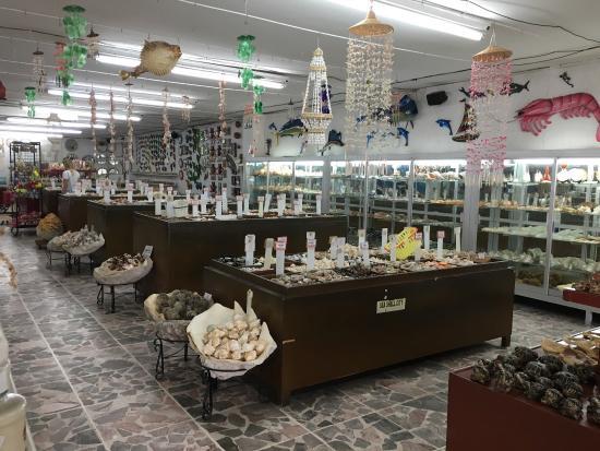 Museum for Strandskaller