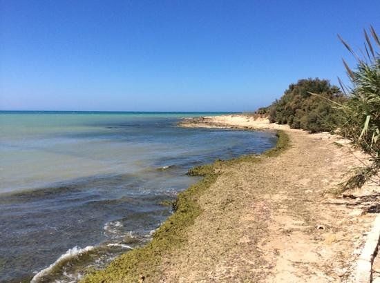 Naturreservat ved Irminio-floden