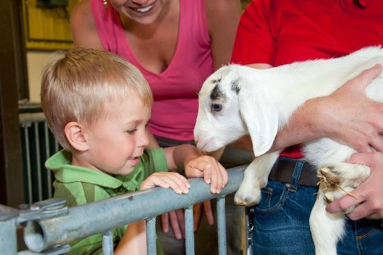 Canadas museum for landbrug og fødevarer