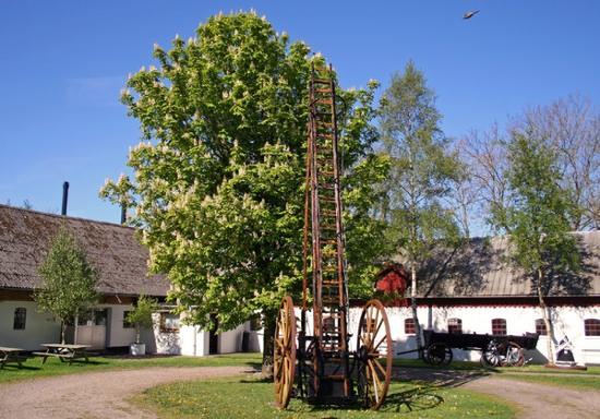 Fonden Vildmosemuseet