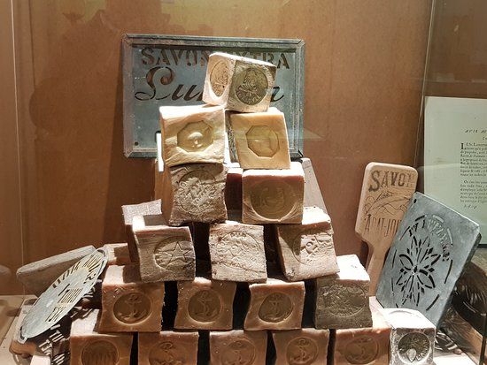 Museum of the Olive Tree