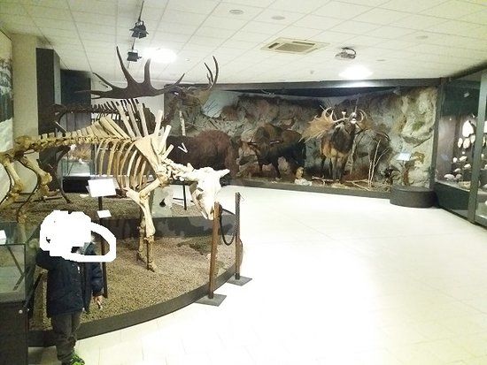 Luigi Doninis Forhistoriske Museum