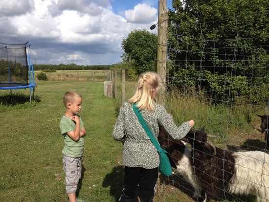 Enghave Dyre Og Naturpark