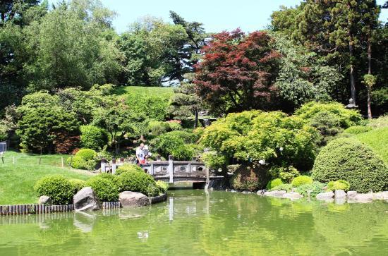 Brooklyn Botaniske Have