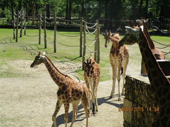 Planckendaels zoologiske have