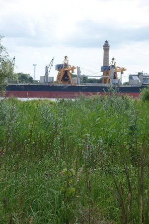 Swinoujscie Fyrtårn