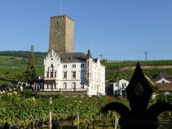 Rheingau Vinmuseum