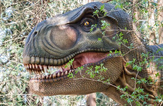 Knuthenborg Safari Park