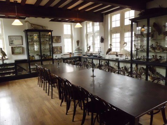 Naturhistorisk Museum