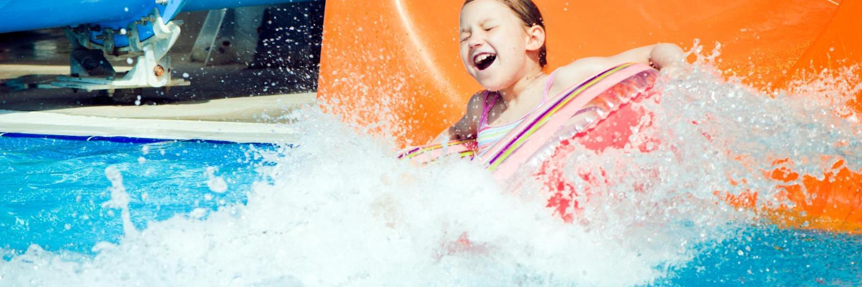 The Flipper Vandland