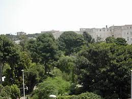 Cagliaris botaniske have