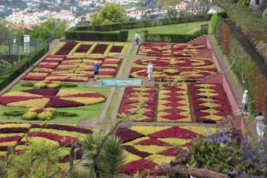 Madeira Botaniske Have