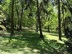 Ogrod Dendrologiczny im. Stefana Kownasa