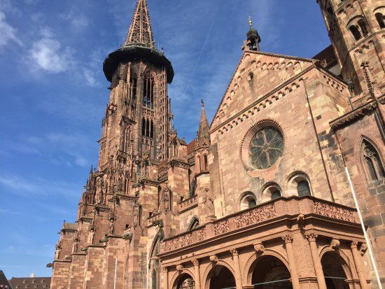 Freiburg Katedral